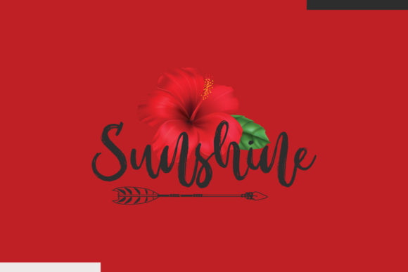 Sunshine Funny SVG Design